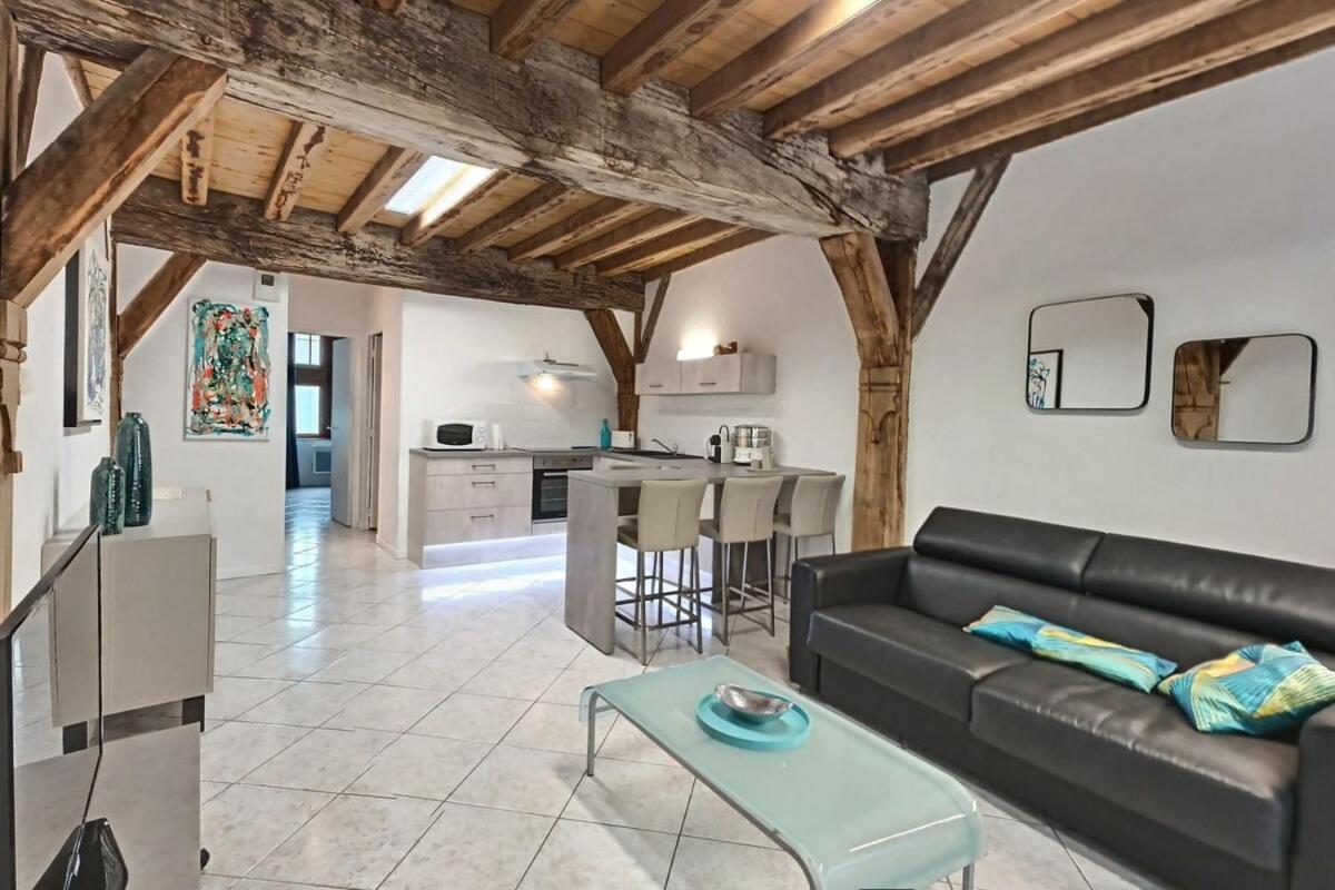 Le scarabée bleu - Appartement cosy dans le bouchon de Troyes - Mon Groom Exterior foto